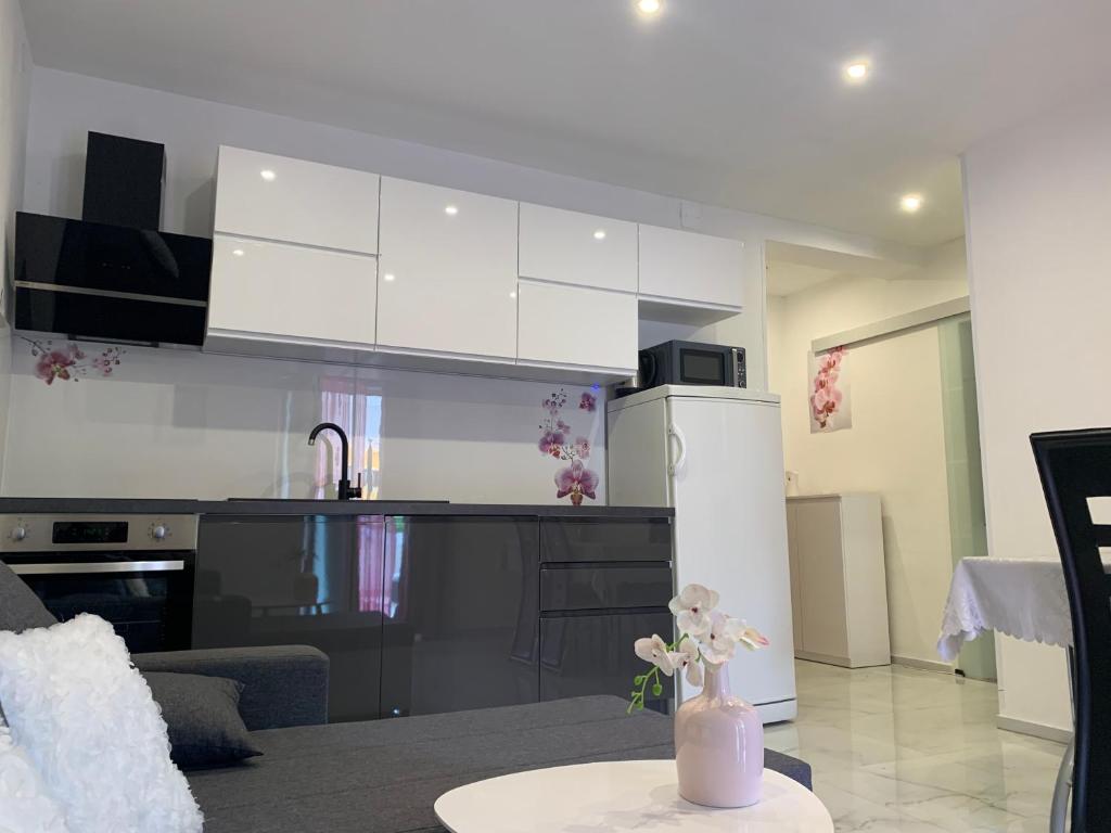 Apartments Milica