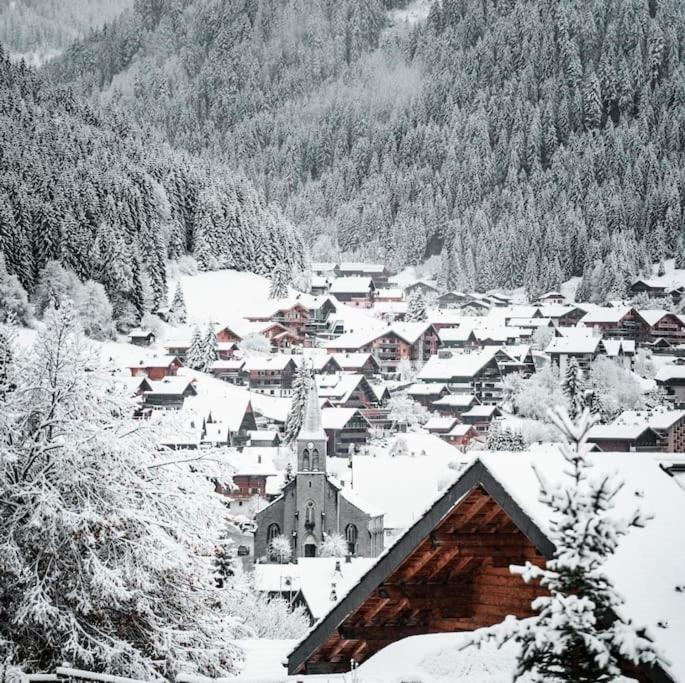 Les chamois - Châtel hyper centre - 7 pers v zimě