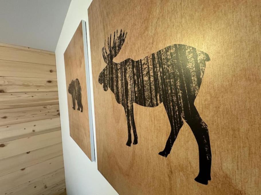 Fotografie z fotogalerie ubytování Les chamois - Châtel hyper centre - 7 pers v destinaci Châtel