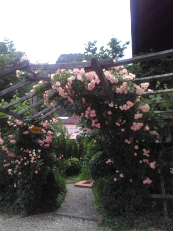 Zahrada ubytování Haus Tinkhauser