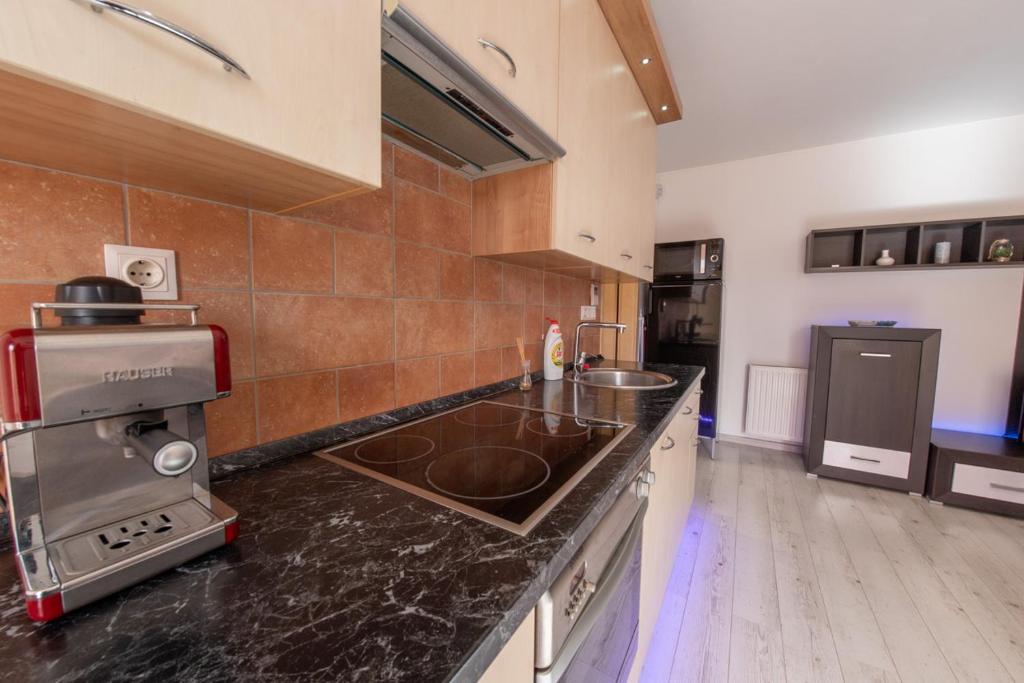 Kuchyňa alebo kuchynka v ubytovaní Apartment City Inn Pécs