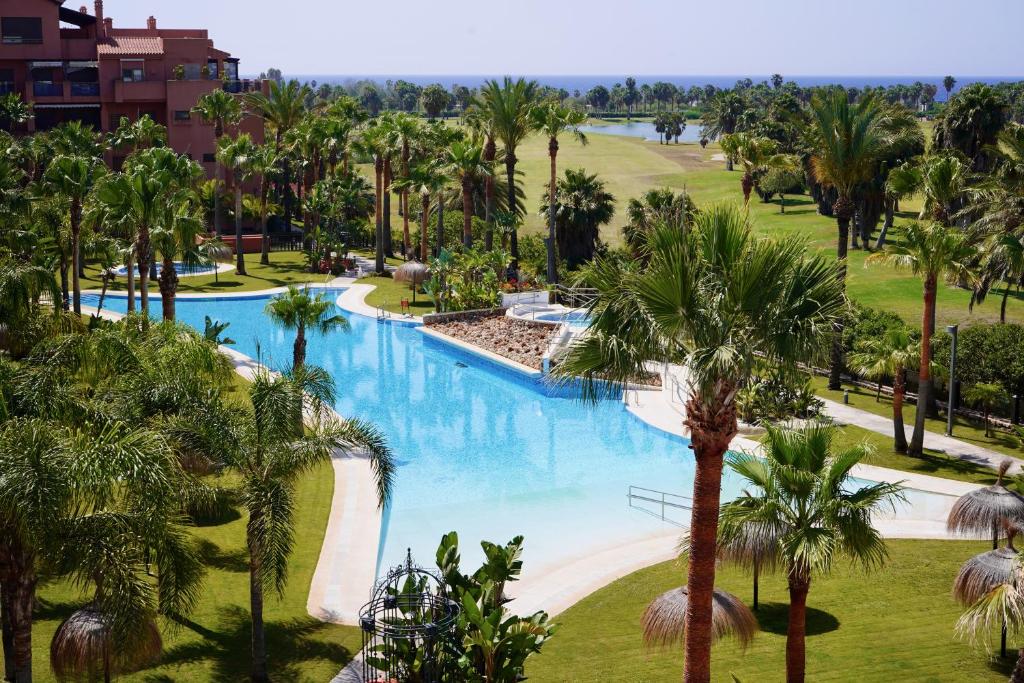 - une vue aérienne sur la piscine du complexe bordée de palmiers dans l'établissement Playa Granada Apartamentos Moriscos II, à Motril