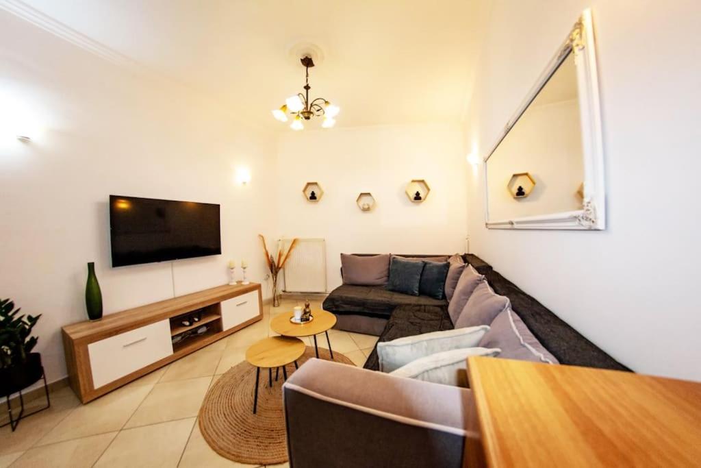 TV a/nebo společenská místnost v ubytování Sotiris Apartment
