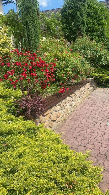 Hotel GoGreen *** - Resim 21