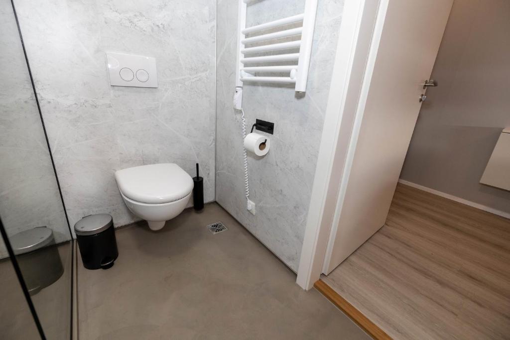 a bathroom with a toilet and a glass door at Dis Cottages in Grundarfjordur