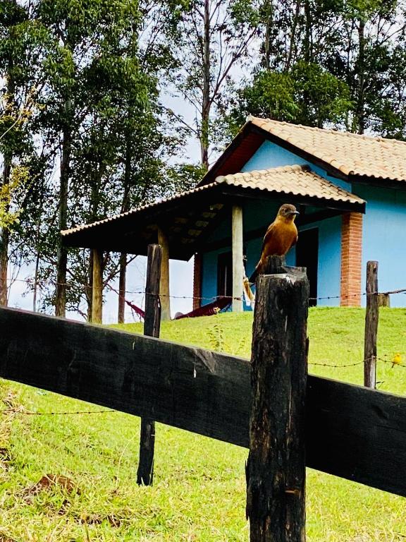 a bird sitting on top of a wooden fence at Chalé Gigante Adormecido in Joanópolis