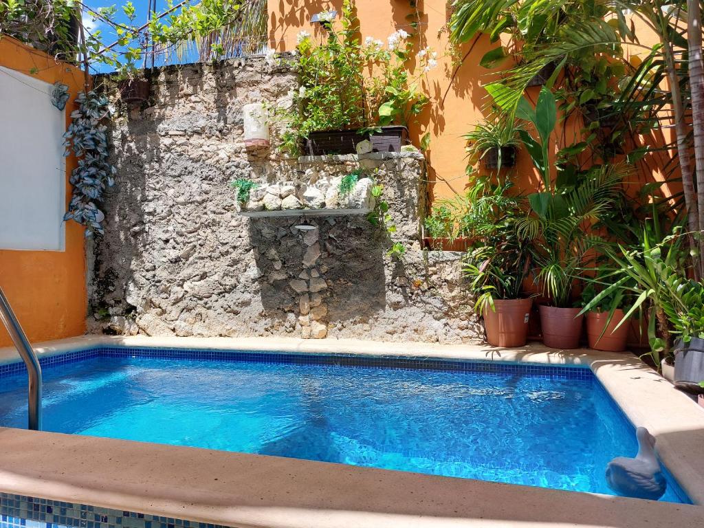 a swimming pool in front of a building with plants at Estudio con terraza in Cozumel