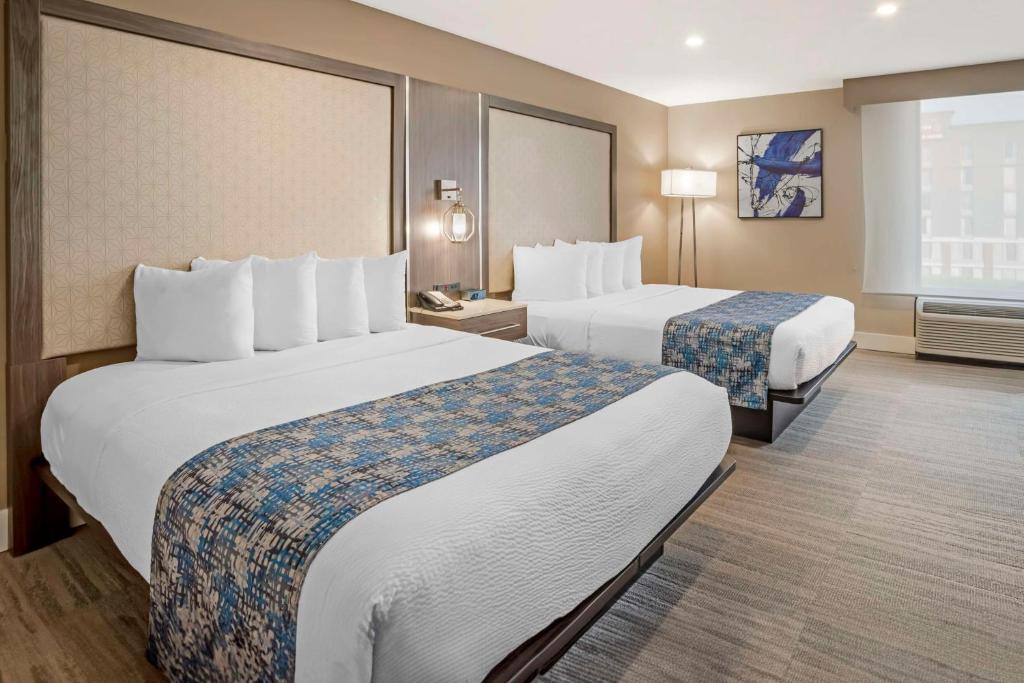Best Western Plus Greenville I-385 Inn & Suites - Suite Queen Con Dos Camas Queen