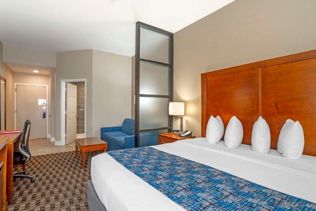 Best Western Plus Greenville I-385 Inn & Suites - Suite King