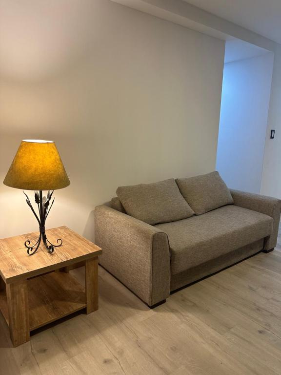 een woonkamer met een bank en een tafel met een lamp bij Excelente Dpto, Gran vista MDZ in Mendoza