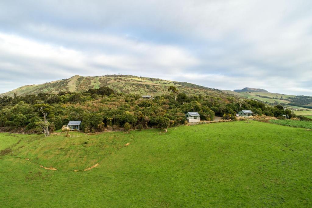 Mohua Park - Catlins Eco Accommodation في Owaka: حقل أخضر مع بيوت فوق تلة