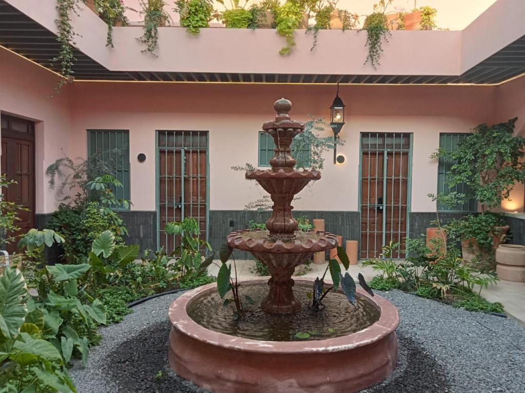Zahrada ubytování Hotel Libertad 1416