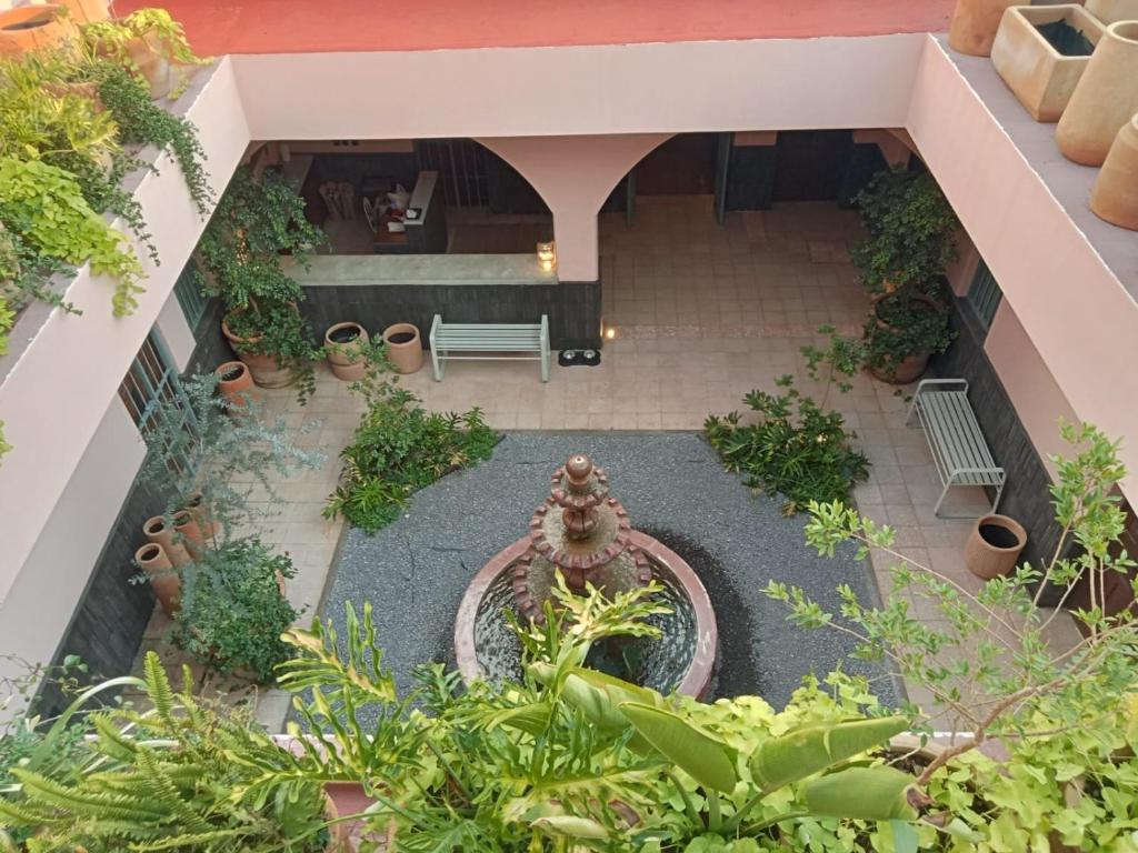 Zahrada ubytování Hotel Libertad 1416