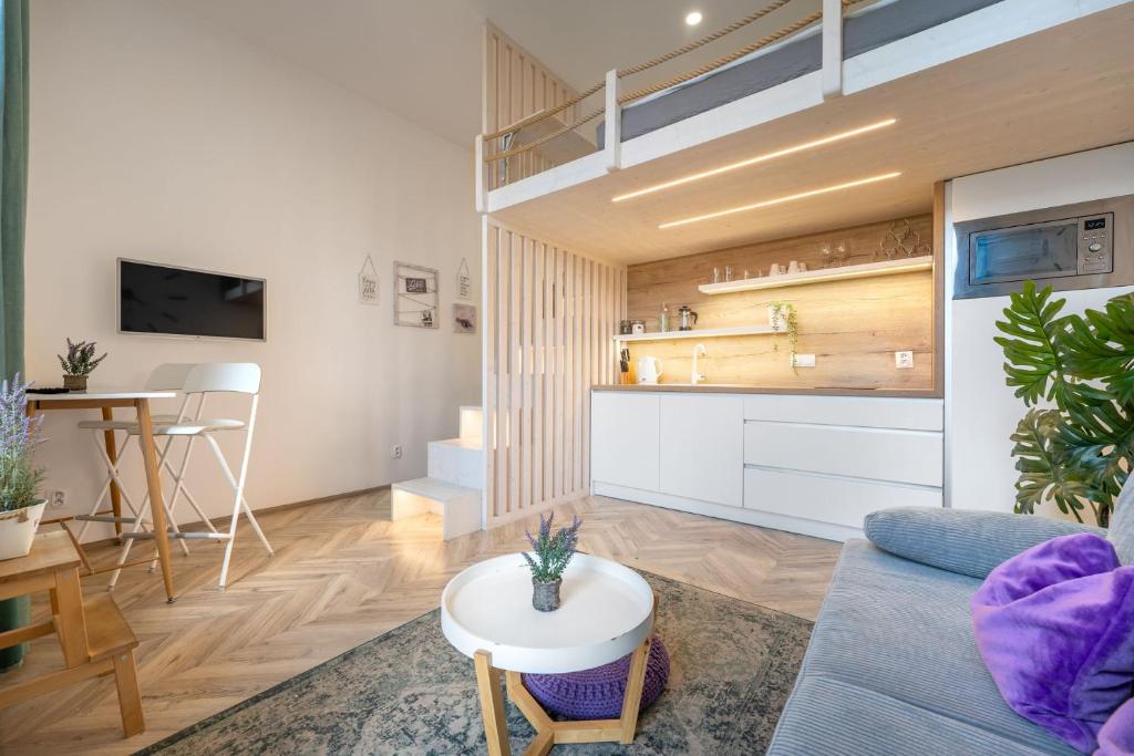 Internesto Brno Vlhka 9 - 3