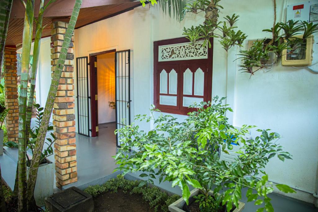 Zahrada ubytování Villa Nutmeg Grove Galle