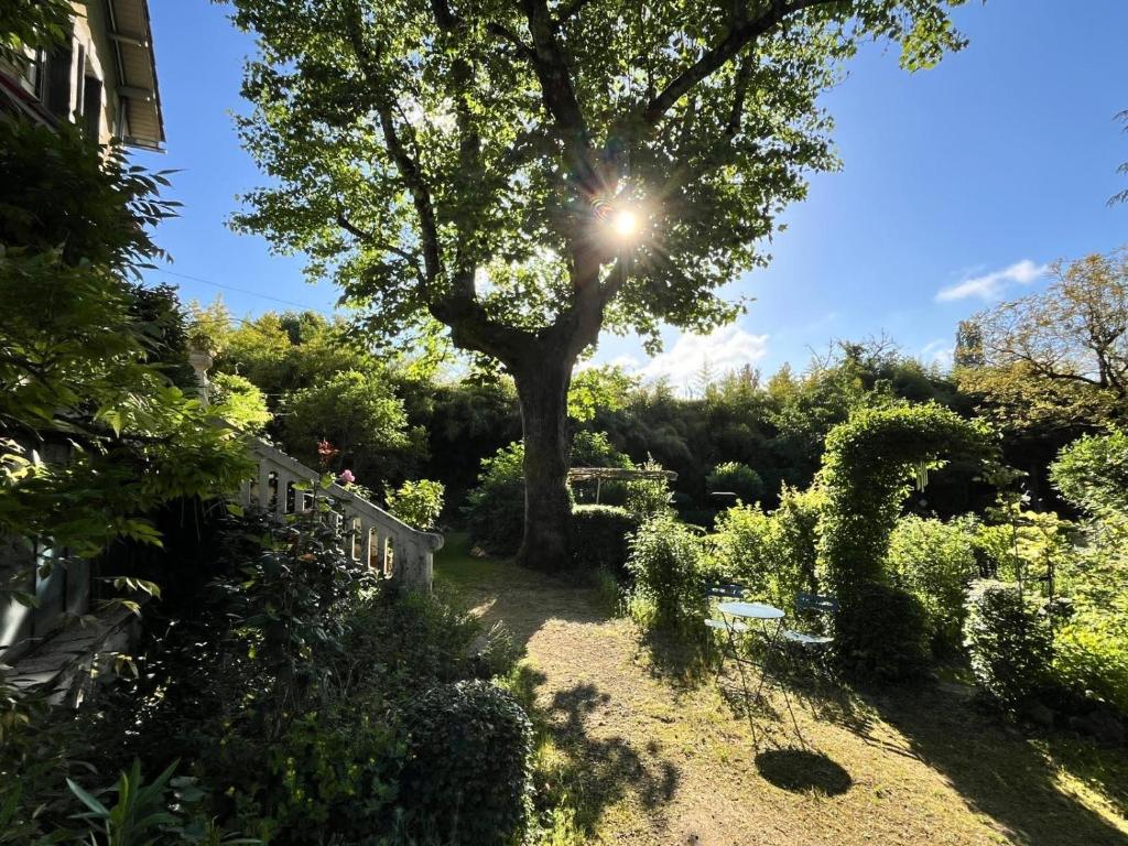 un árbol en medio de un jardín en Villa Léovil, en Saint-Pompont