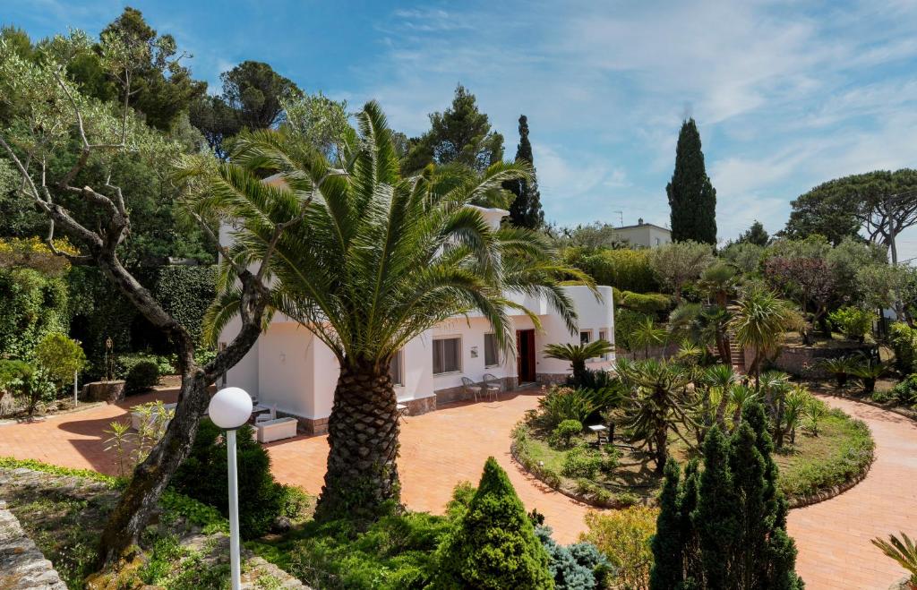 a villa with a palm tree in a garden at Villa Donna Carolina Capri in Anacapri