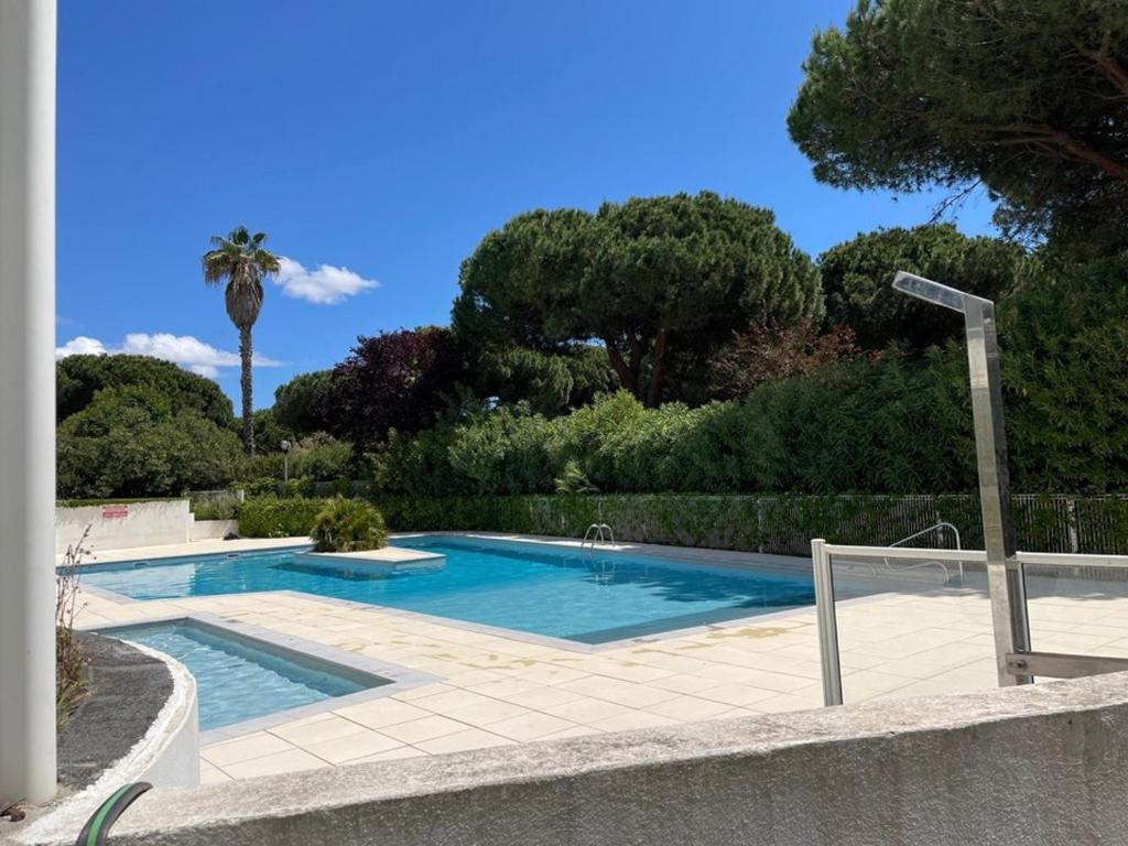 une piscine dans un jardin avec un palmier dans l'établissement Appartement rénové avec terrasse, piscine, parking, et WIFI - 6 couchages, proche commerces - FR-1-790-19, à La Grande Motte