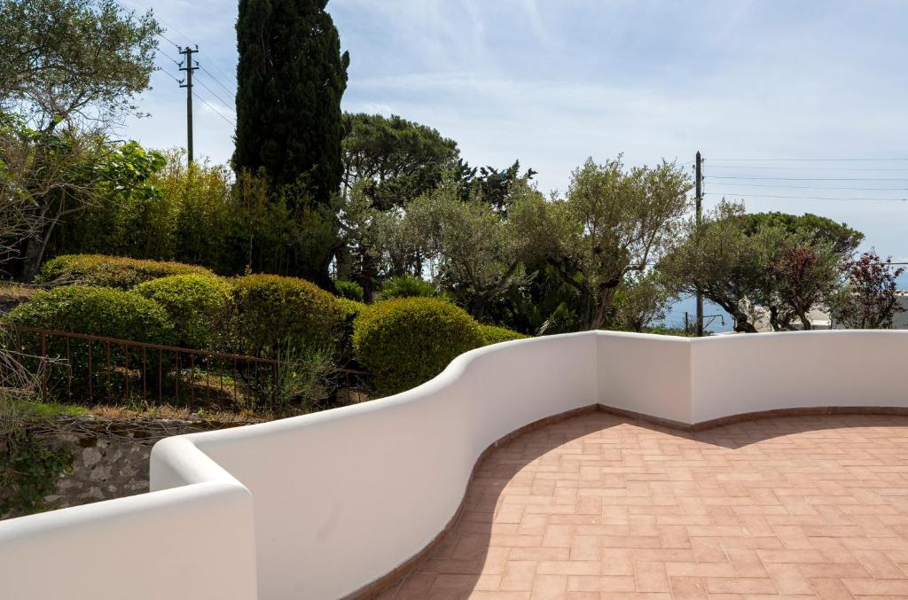 Villa Donna Carolina Capri - 9