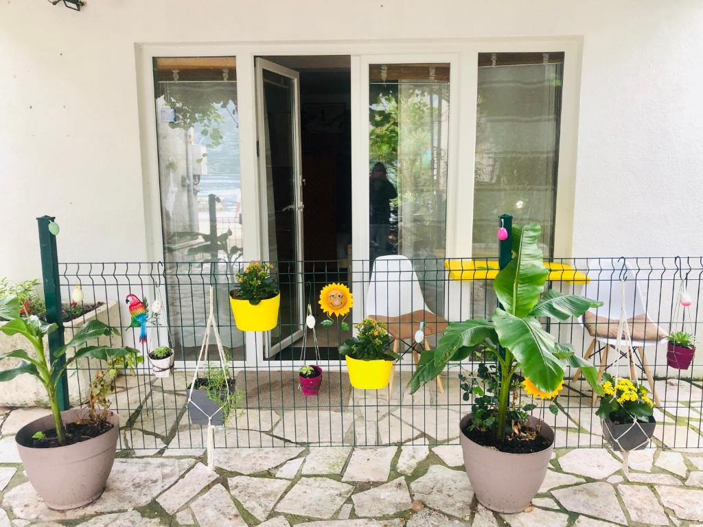 Apartments Djurovic - 1