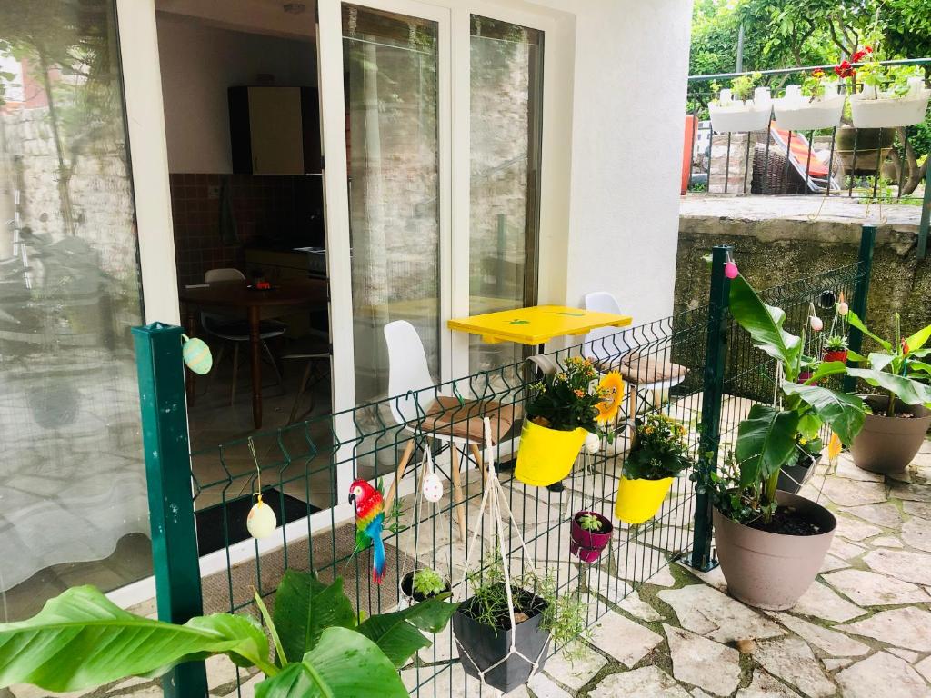 Apartments Djurovic - 9