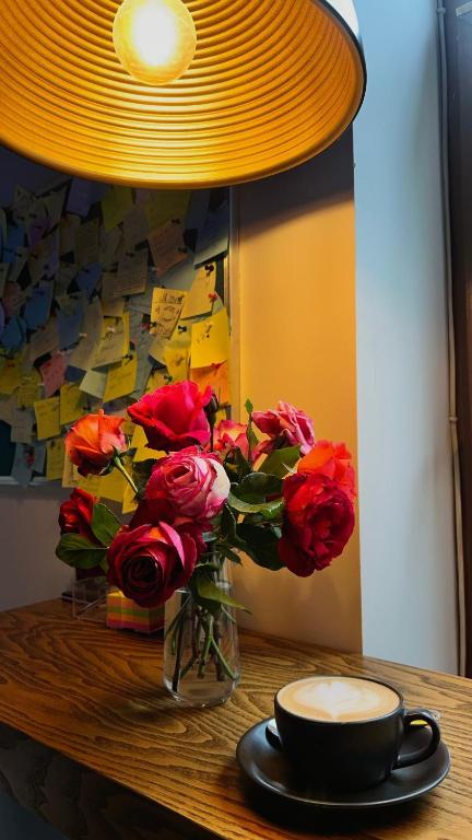 Fotografie z fotogalerie ubytování Central Hostel v destinaci Şəki