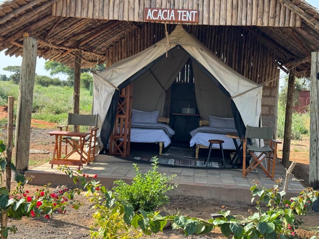 Zahrada ubytování Amboseli Discovery Camp