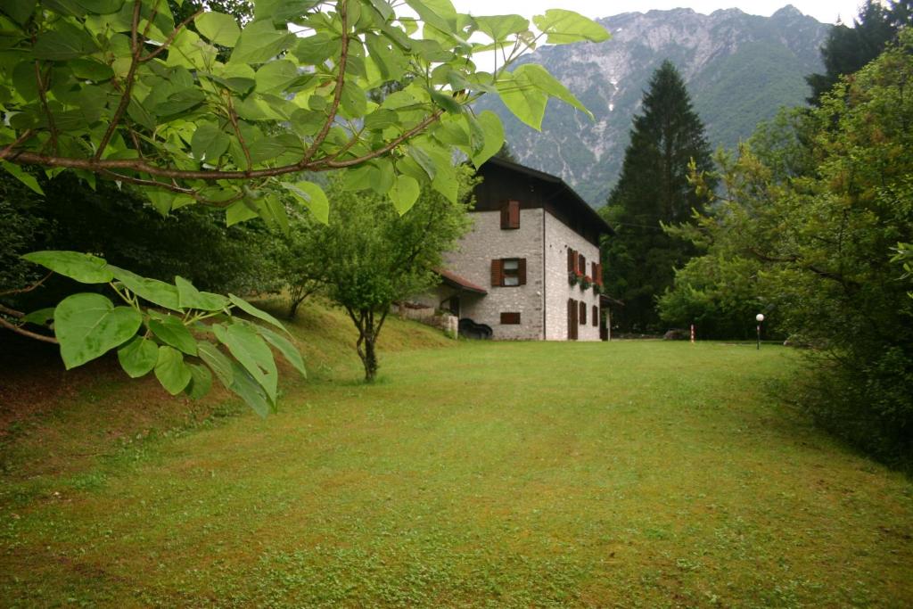 Příroda nedaleko bed and breakfast