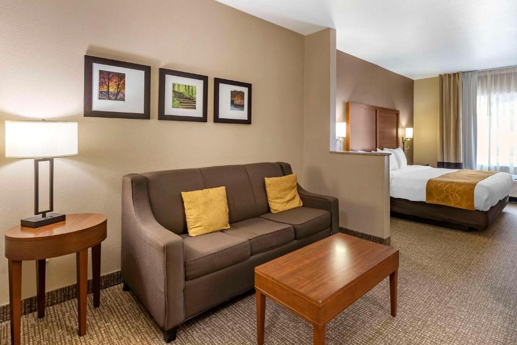 Comfort Suites Coralville I-80 - Eficiency King Suite - No Fumador/para Mascotas