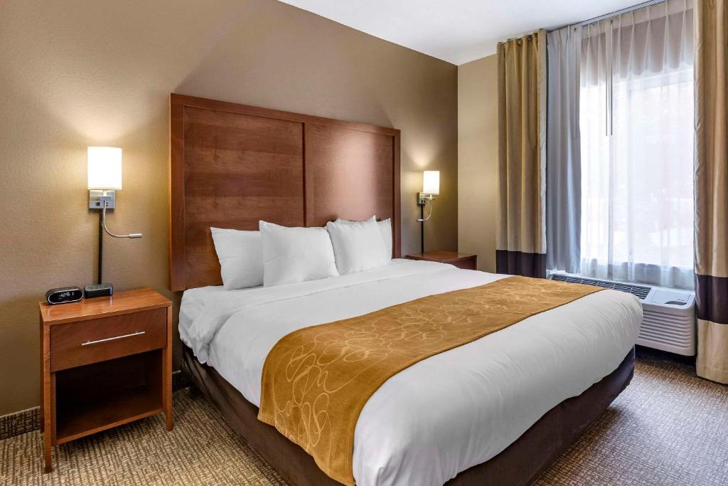 Comfort Suites Coralville I-80 - King Room - Accessible / Non-fumeur