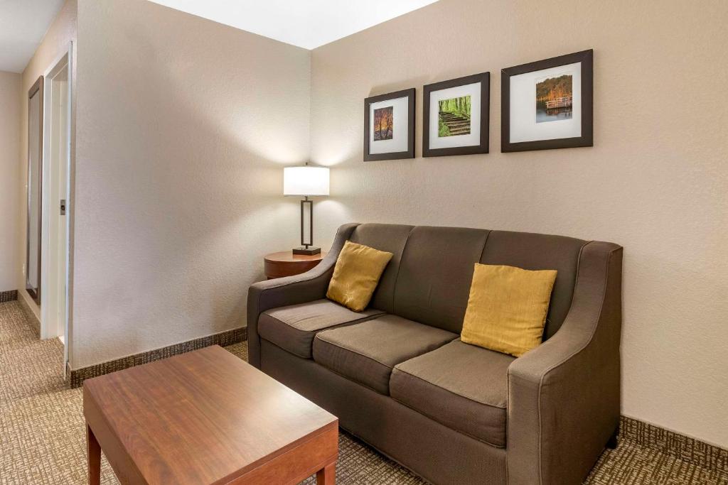 Comfort Suites Coralville I-80 - Business King Room - Accessible / Non-fumeur