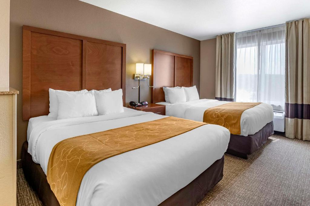 Comfort Suites Coralville I-80 - Suite Queen Avec Deux Lits Queen - Non-fumeurs