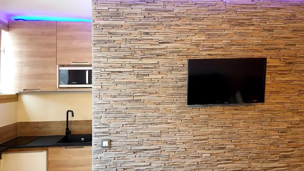 eine Steinmauer mit einem Flachbild-TV in der Unterkunft auron in Saint-Étienne-de-Tinée
