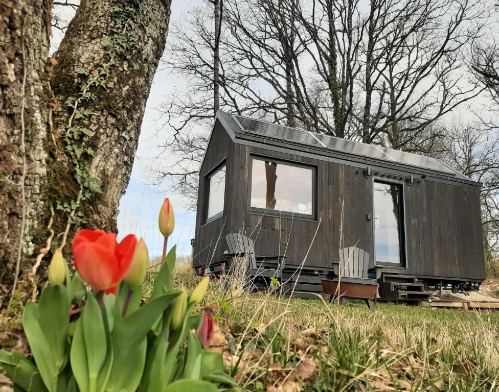 uma pequena casa sentada na relva ao lado de uma árvore em L'Envolée Ecolodge, tiny house au coeur des vignes em Loches-sur-Ource