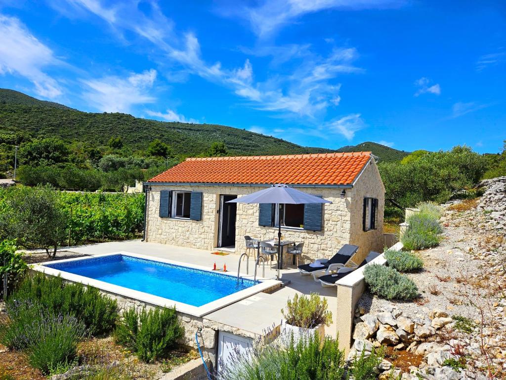 a villa with a swimming pool and a house at Stone house in vineyard in Račišće