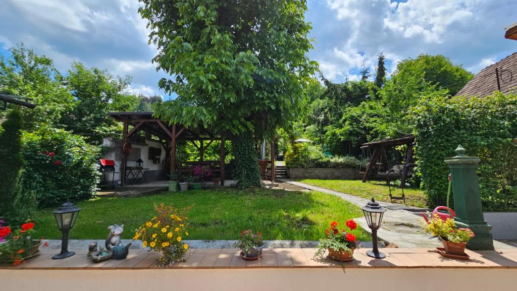 Zahrada ubytování Casa Vanatorului