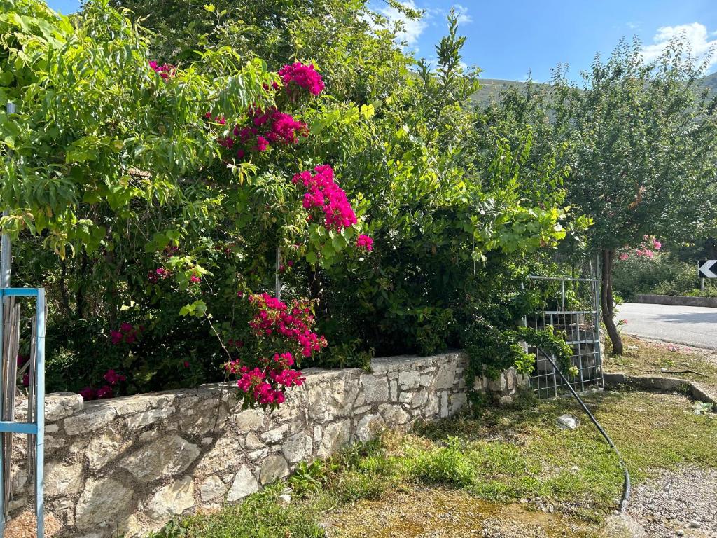 Zahrada ubytování Hotel Taverna Prifti