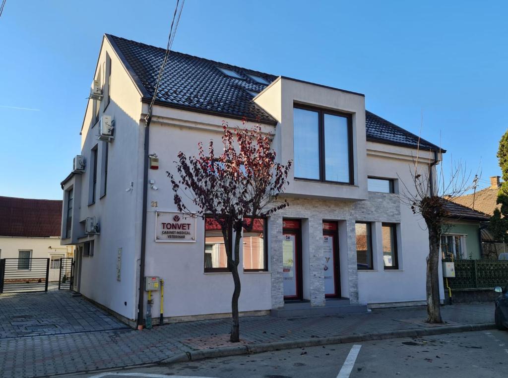 un edificio bianco con un albero di fronte di Casa Toni a Bistriţa