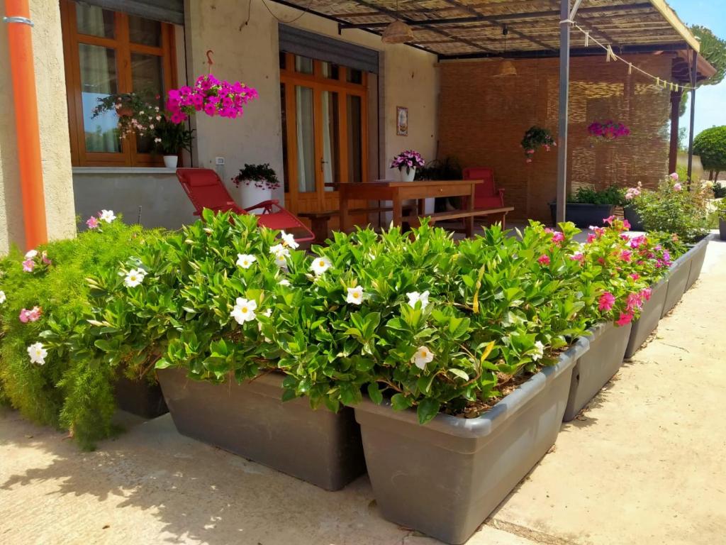 Vonkajšia záhrada v ubytovaní Casa Donna Razietta - Natura e relax
