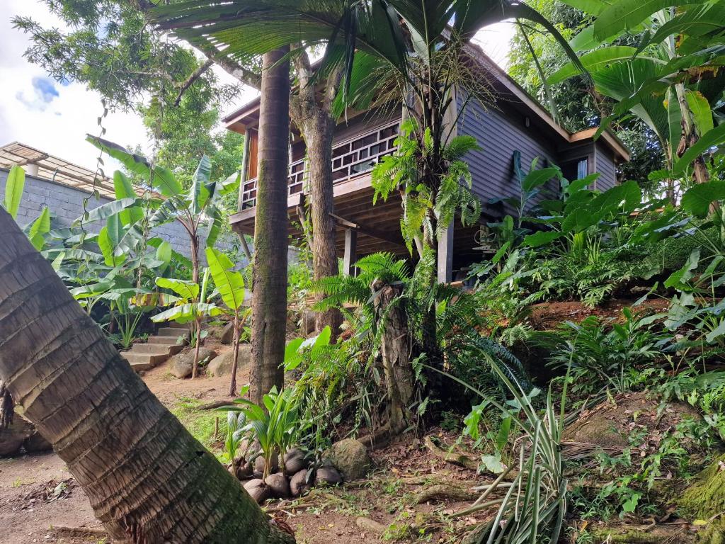 a house with a palm tree in front of it at A Peace In Paradise in Baie Lazare Mahé