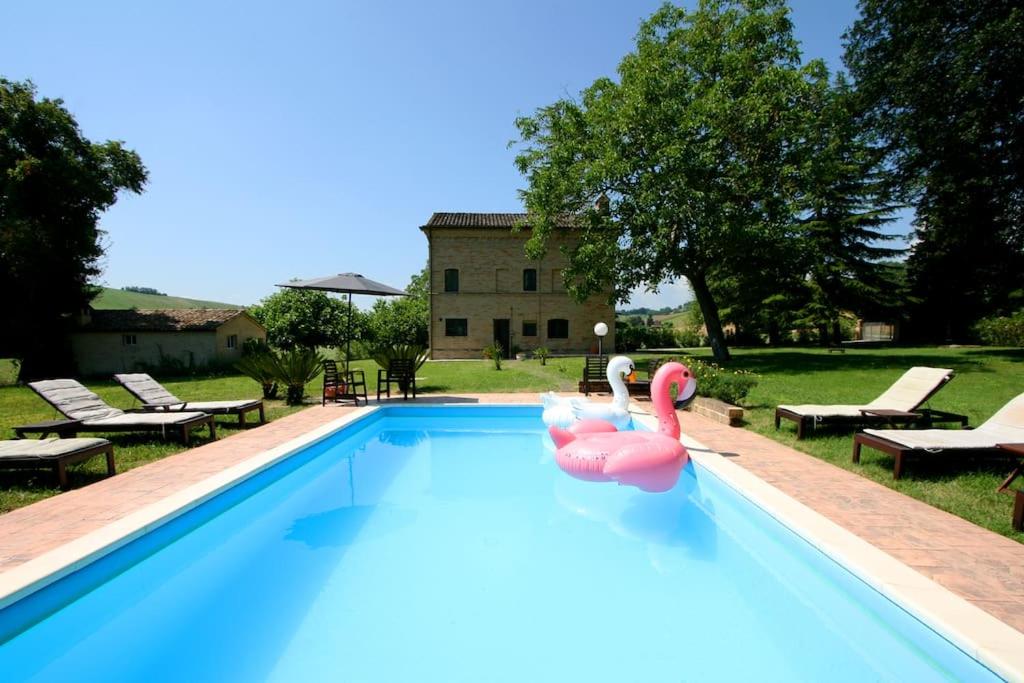 a swimming pool with a pink flamingo in the middle at Family friendly chic Italian farmhouse with pool in Mogliano