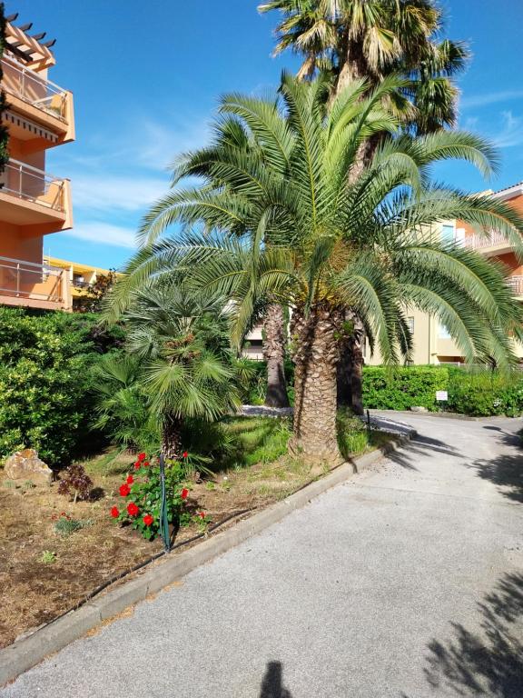 un palmier à côté d'une rue fleurie dans l'établissement T1 Lavandou La favière en rez de jardin bord de mer, à Bormes-les-Mimosas