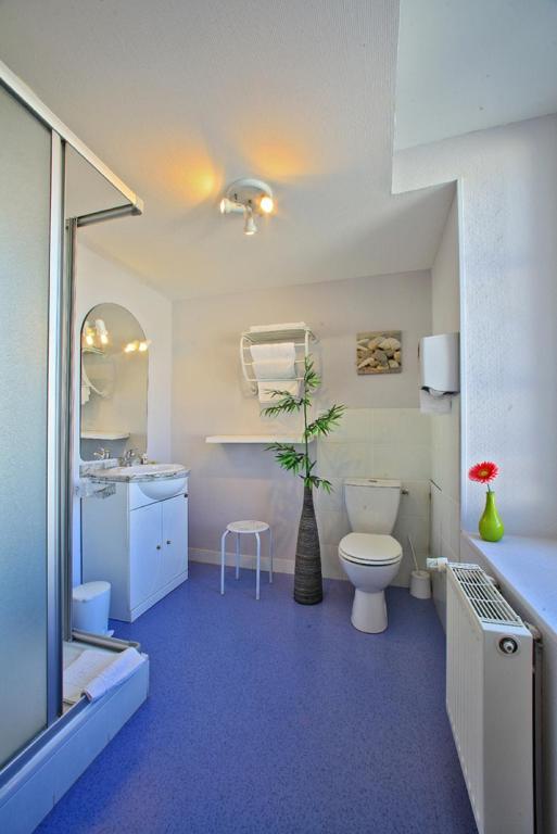 La salle de bains est pourvue de toilettes et d&#39;un lavabo. dans l&#39;établissement Hôtel Caravelle Contact Hôtel, à Rochefort