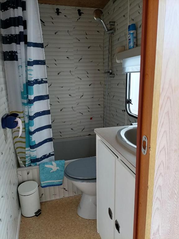 Koupelna v ubytování Mobil home inter