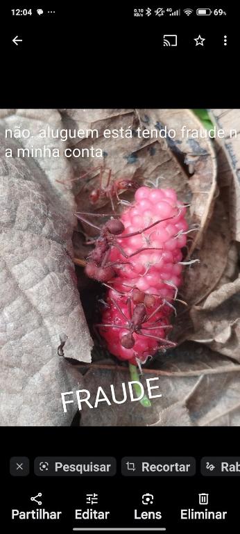 Suitetrails - Apart hotel lagoa quente