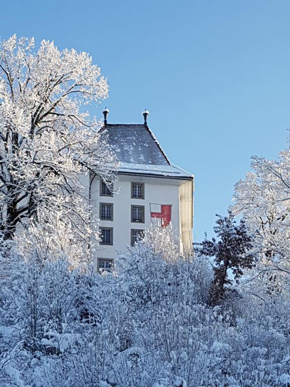 BnB SchlafSchloss v zimě