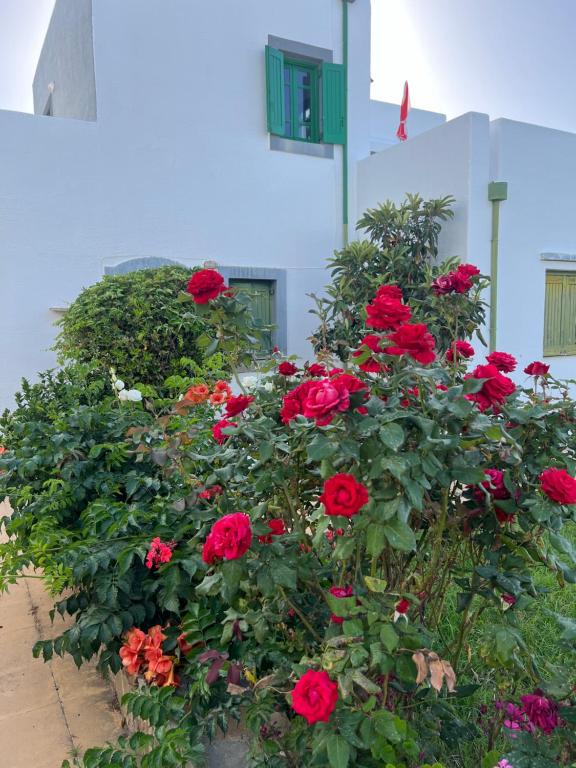 een bos van rode rozen voor een gebouw bij Island Away Chersonisos in Chersonissos