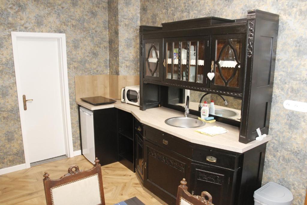 Kuchyň nebo kuchyňský kout v ubytování Apartments Zámoček Staré časy