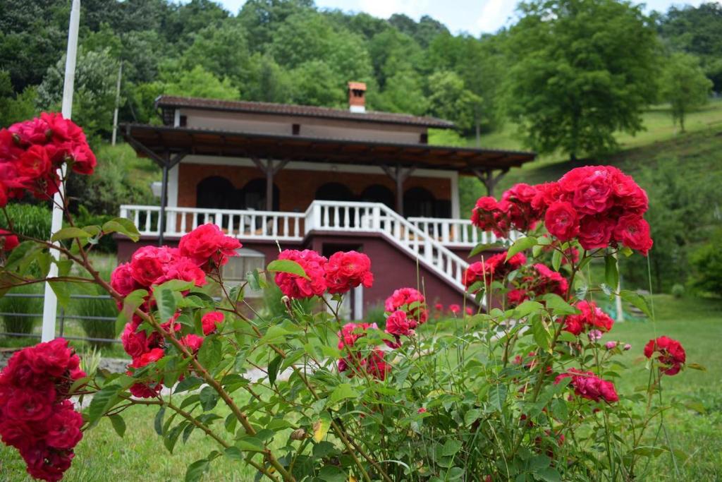 Giardino di Drina-Krivi Vir