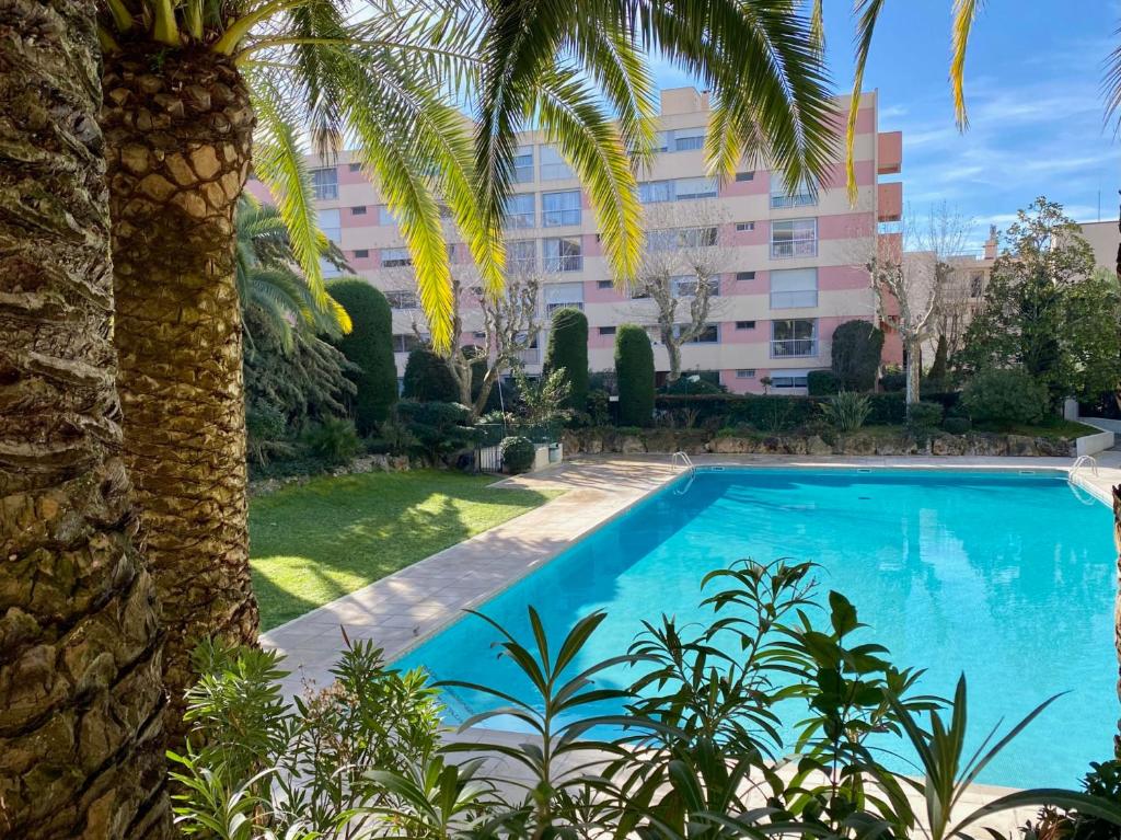une piscine avec un palmier et un bâtiment dans l'établissement L'oasis de Vallauris, piscine, parking privé, à Vallauris